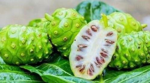 暗黑爆料在线吃 怀仁最近网红大瓜,暗黑爆料，在线吃瓜大揭秘